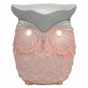 whoot owl candle warmer