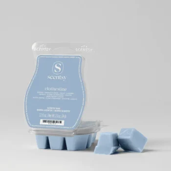 Clothesline scentsy bar