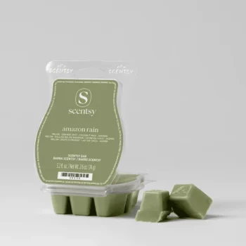 amazon rain scentsy bar