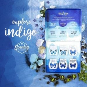 Scentsy indigo scents bars