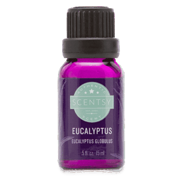 scentsy eucalyptus oil