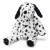 dalmation