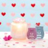 VALENTINES DAY PROMOTION