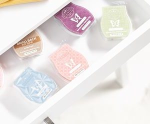 storage boxes for scentsy bars
