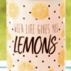alex lemonade stand warmer