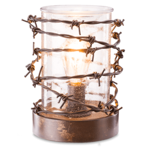 rustic ranch barb wire