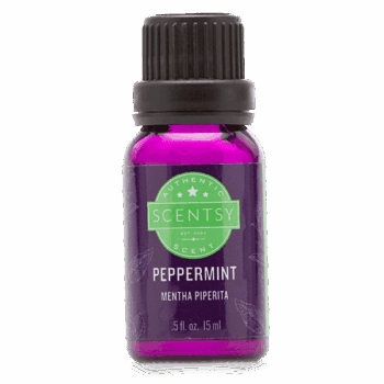 scentsy peppermint essential oil for diffuser
