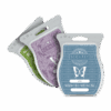 scentsy wax bars