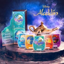 aladdin scentsy disney products
