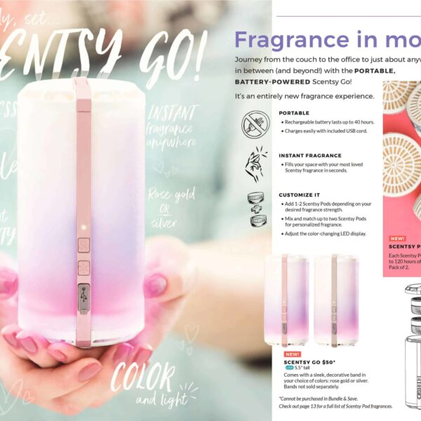 scentsy go package