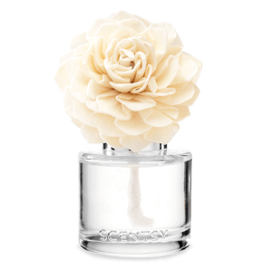 aloe water fragrance flower