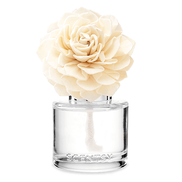 aloe water fragrance flower