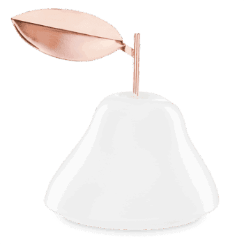 pear dish