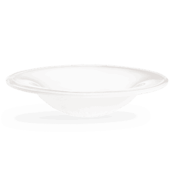 sea stone dish