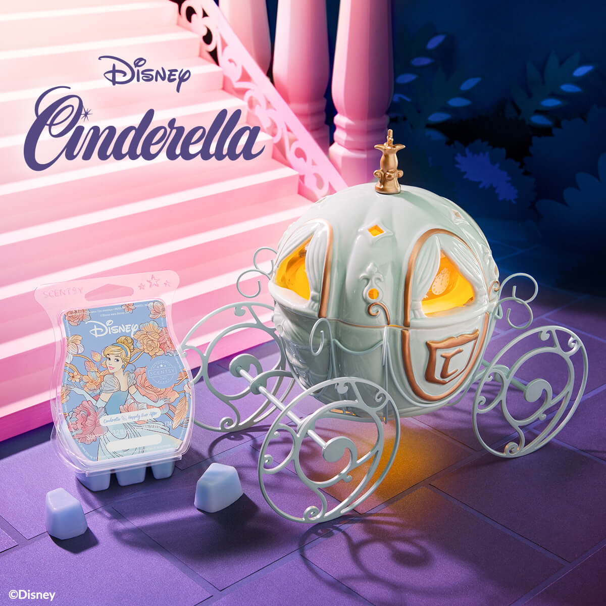 cinderella carriage warmer