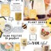 Scentsy in May 2020