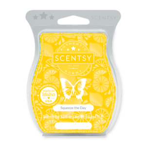 scentsy squeeze the day