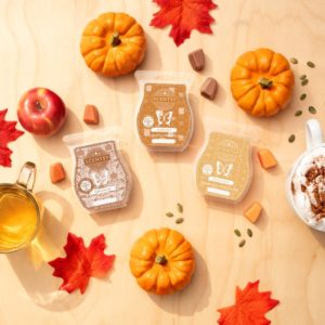 New Scentsy Fall Scents
