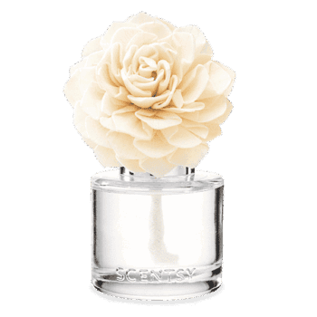 scentsy flower diffuser reed