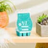 may warmer of the month