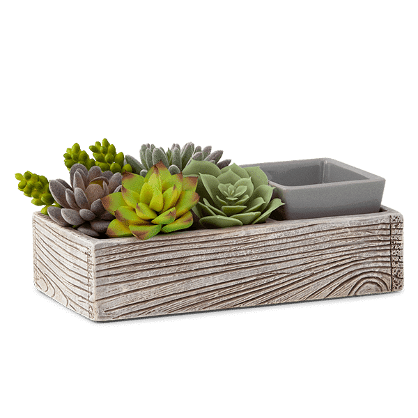 Scentsy Succulent warmer - Suc-cute-lent Candle Warmer
