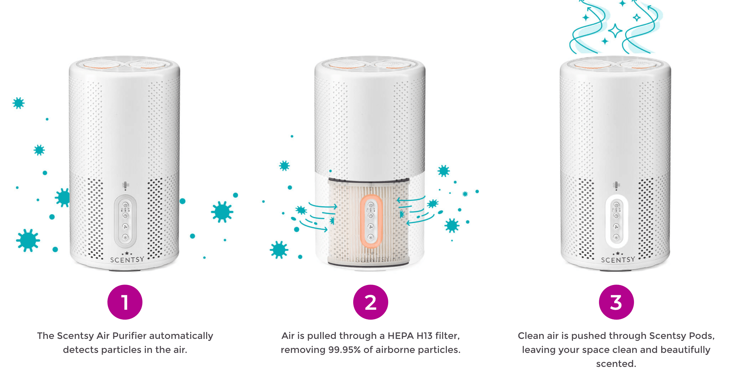 how purifier works scentsy