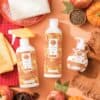 scentsy cider mill bundle