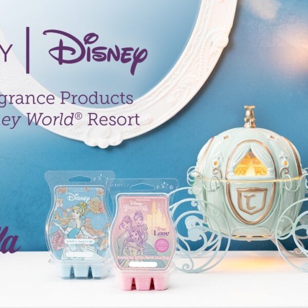 disney cinderella warmer mini