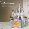 cinderella castle warmer