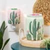 MT SS SummerCollection DesertDarlingGreen DesertDarlingPink R