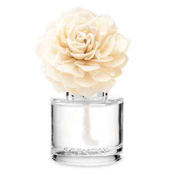 fragrance flower scentsy