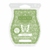 Pear fect day scentsy bar