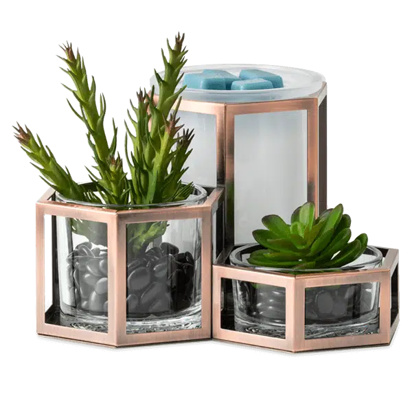 scentsy warmer july wild desert off