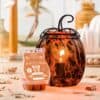 Tigers Eye Pumpkin WarmPumpkin Drizzle October