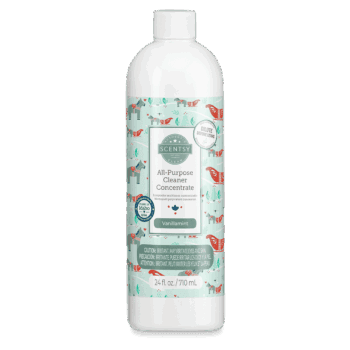 All Purpose Cleaner