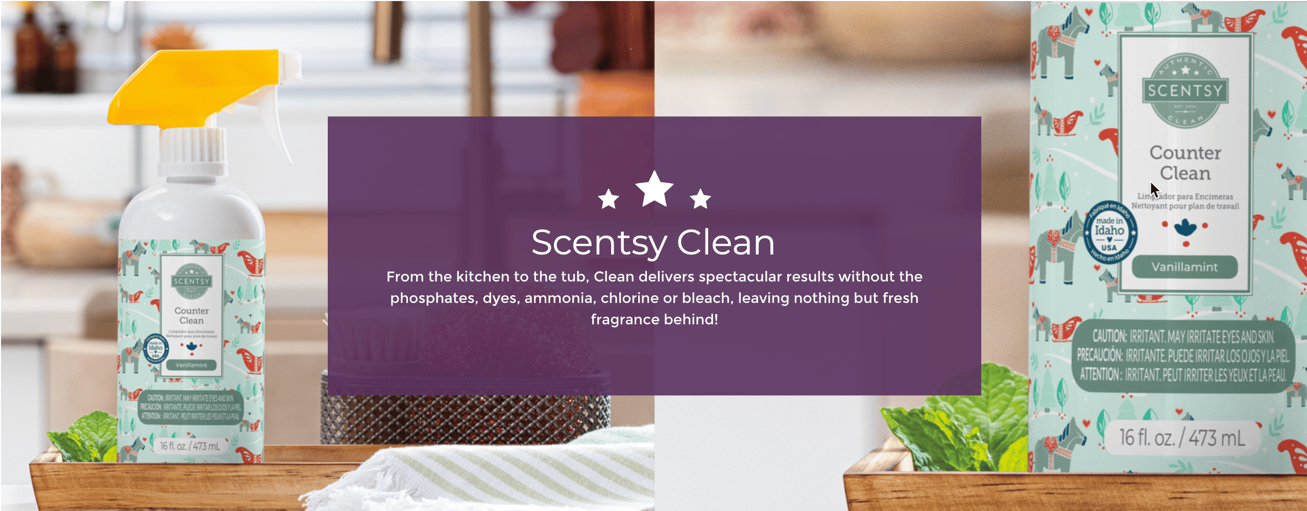 scentsy clean banner