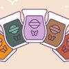 scentsy bundles august