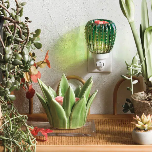 Aloe Vera Warmer + Sedona Mini Warmer Stylized