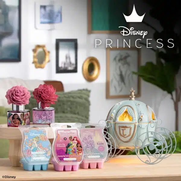 Disney Princess Collection