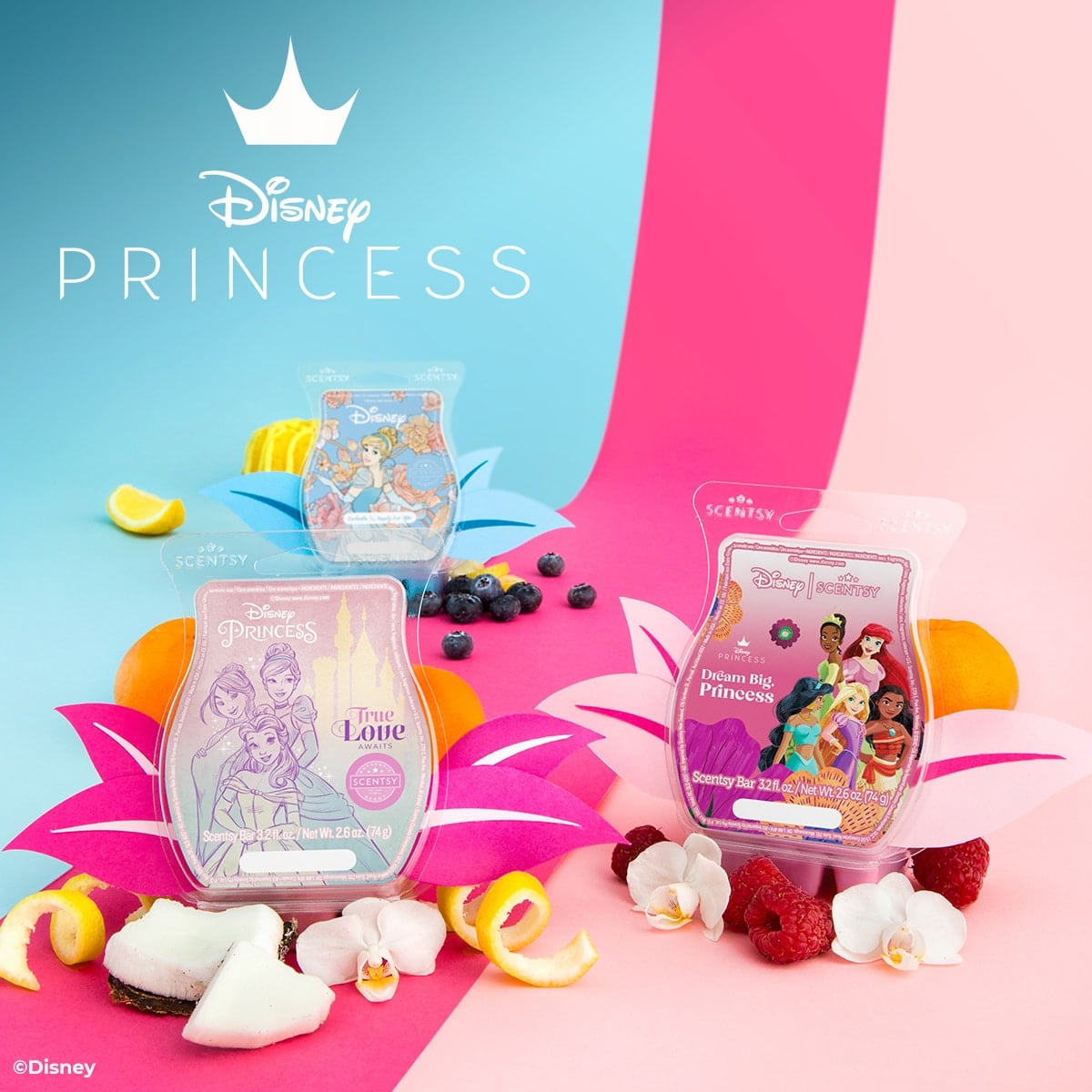 Dream Big, Princess – Scentsy Bar