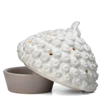 HOMEWarmerBaliISOLidDishR FW .webp