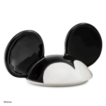 HOMEWarmerMickeyISOLidR SS .png