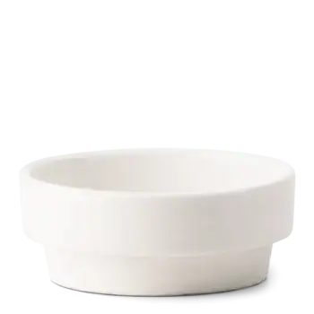 HOMEWarmerTomTheTurkeyISODishR FW PWS.webp