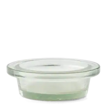 HOMEWarmerVerveISODishR MXFW .webp