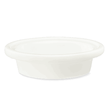R HOMEFreeToFlyDish ISOSS f fbd df ca dd f b .png