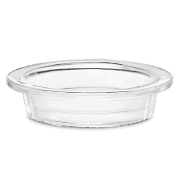 R HOMEilluminateDish ISOSS .png