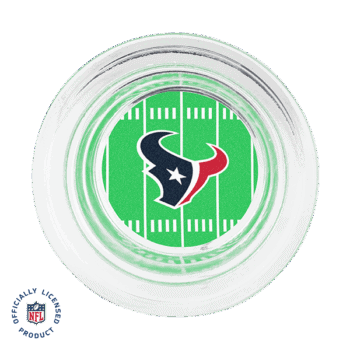 RAHOMENFLHoustonDishISO SS de b b d d bb a bc ad fc .png
