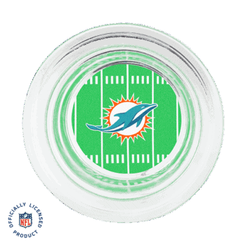 RAHOMENFLMiamiDishISO SS f dae b f a e .png