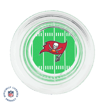 RAHOMENFLTampaBayDishISO SS fd f f c fbbe e a e .png
