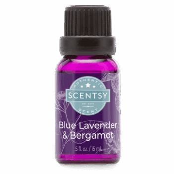Blue Lavender & Bergamot Natural Oil